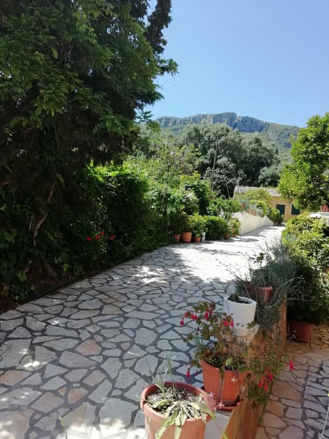 Marilena Studios And Apartments Paleokastritsa Exteriér fotografie